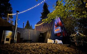 M Cabin A Frame Predeal Ciubar